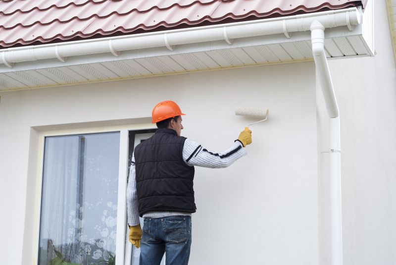 Gutters Painting in Longmont, CO