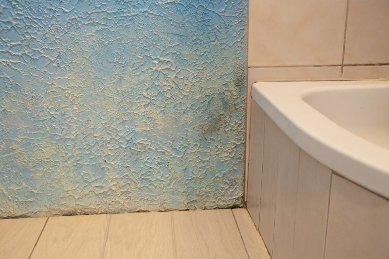 Bathroom Wall Finishes